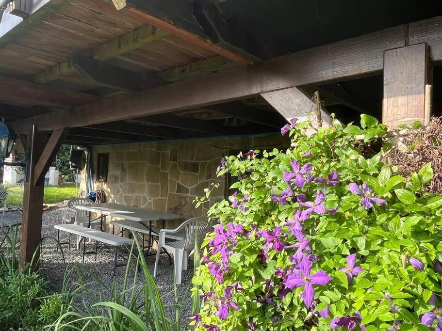 Studio Renove Rdc Terrasse Wepion Namur Extérieur photo